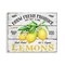 Stupell Industries Farm Fresh Produce Lemons Wall Plaque Art Design by Creatif Belle